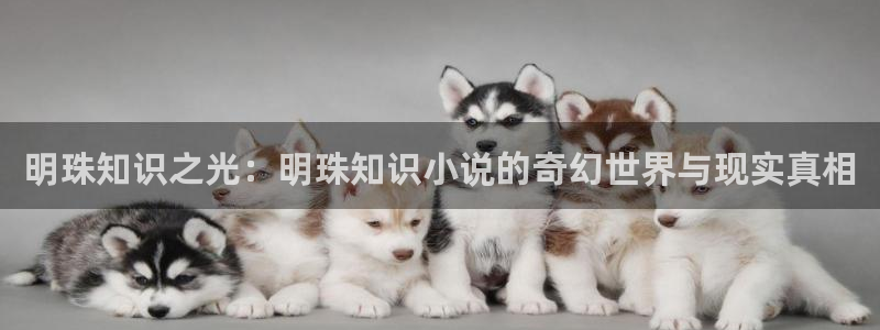 圣墟趣笔阁