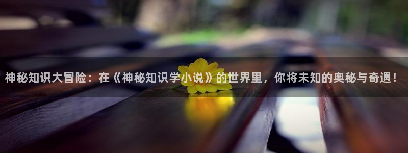 盗墓笔记小说趣笔阁
