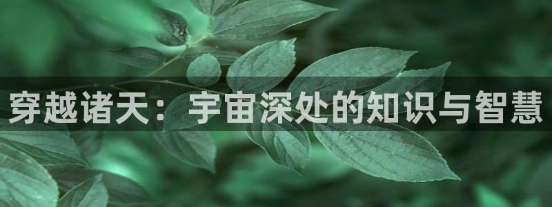 绝世武魂小说趣笔阁