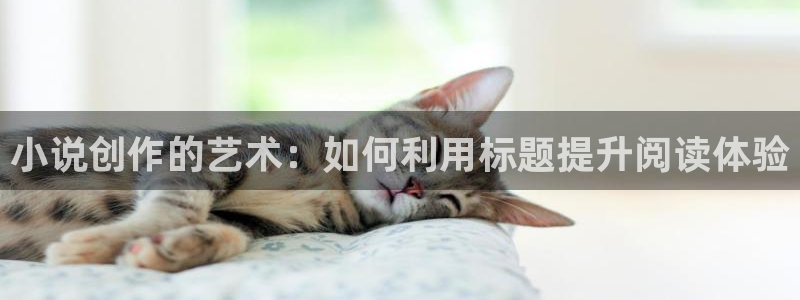 阿宾正传趣笔阁庆仔