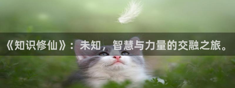趣笔阁全本小说网