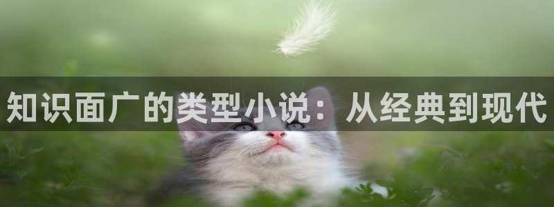 斗破苍穹小说趣笔阁