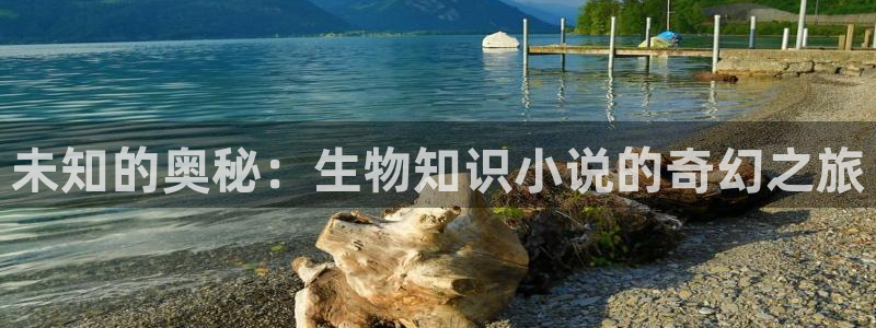 斗破苍穹小说趣笔阁