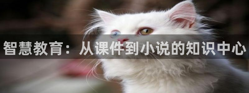 绝世武魂小说趣笔阁