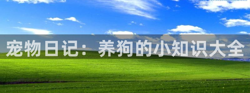 趣笔阁辣文