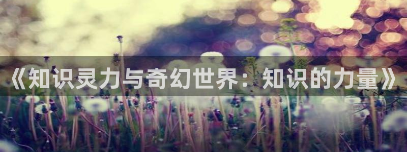 阿宾正传1—72与钰慧趣笔阁